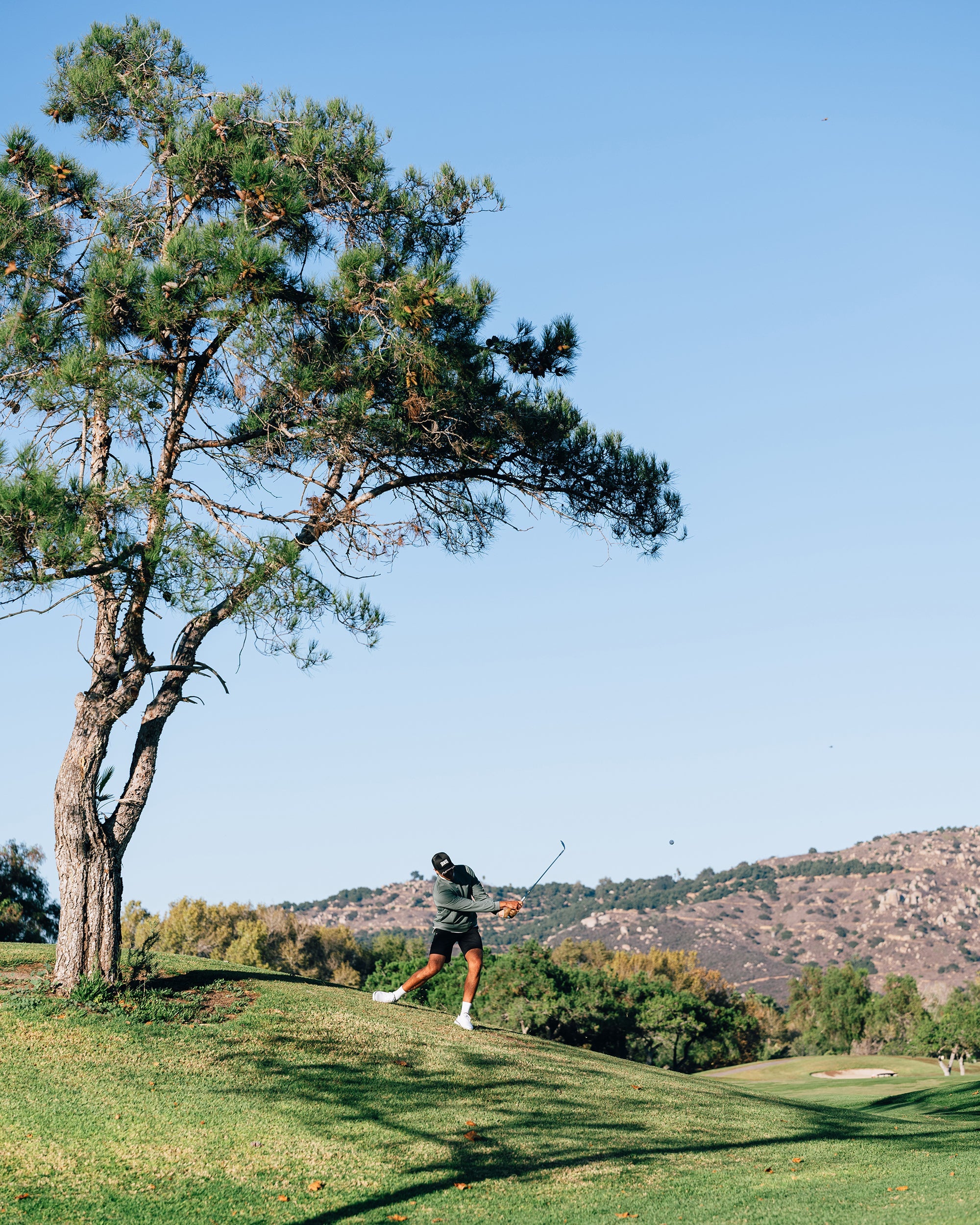 Person playing golf on a grassy course with a tree and mountains in the background